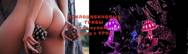 гашиш Белокуриха